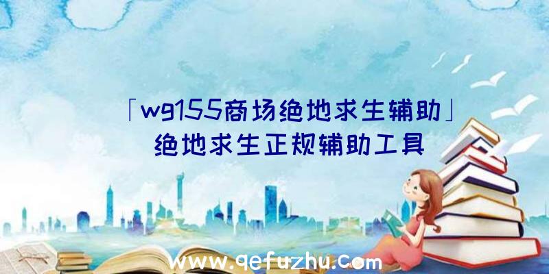 「wg155商场绝地求生辅助」|绝地求生正规辅助工具